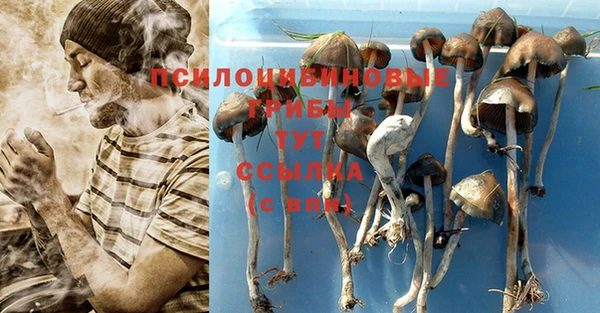 хмурый Верхний Тагил