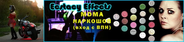 прущие грибы Верея