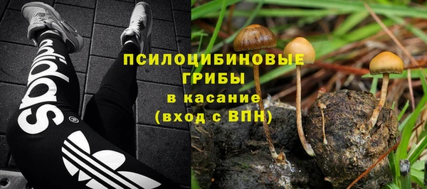 хмурый Верхний Тагил