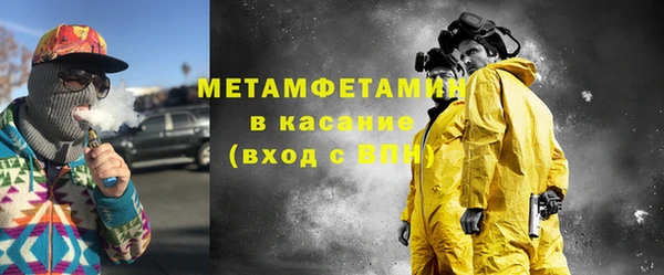прущие грибы Верея