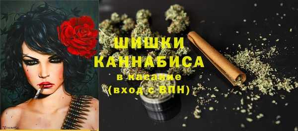прущие грибы Верея