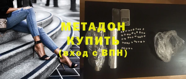 прущие грибы Верея