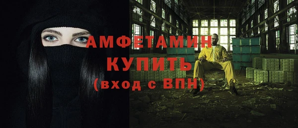 прущие грибы Верея