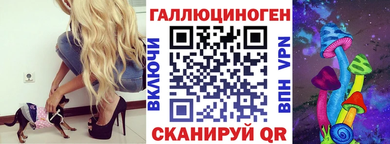 Купить  Онега  Псилоцибиновые грибы Cubensis 